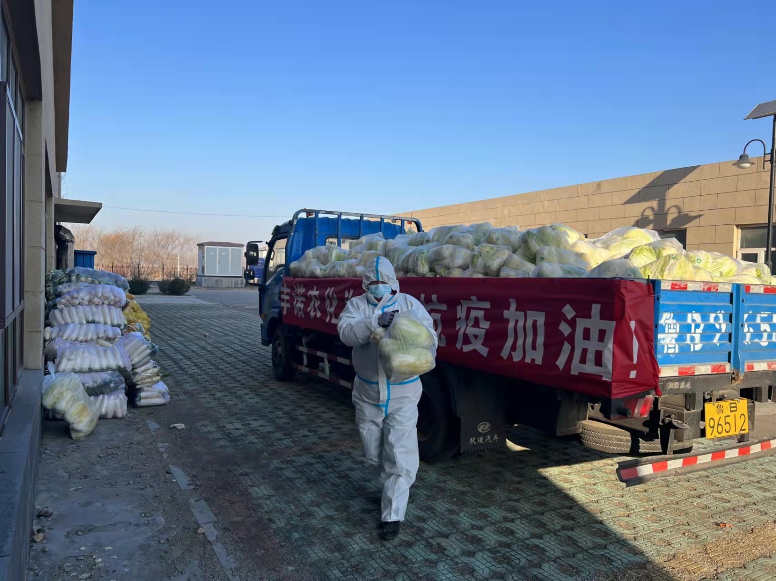 闈掑矝涓拌鍐滃寲,闈掑矝涓拌鍐滆祫