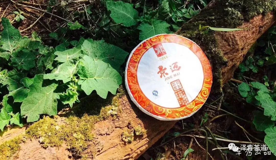 普洱茶各大山头的特性和口感图文,普洱茶老茶头的口感特点有哪些