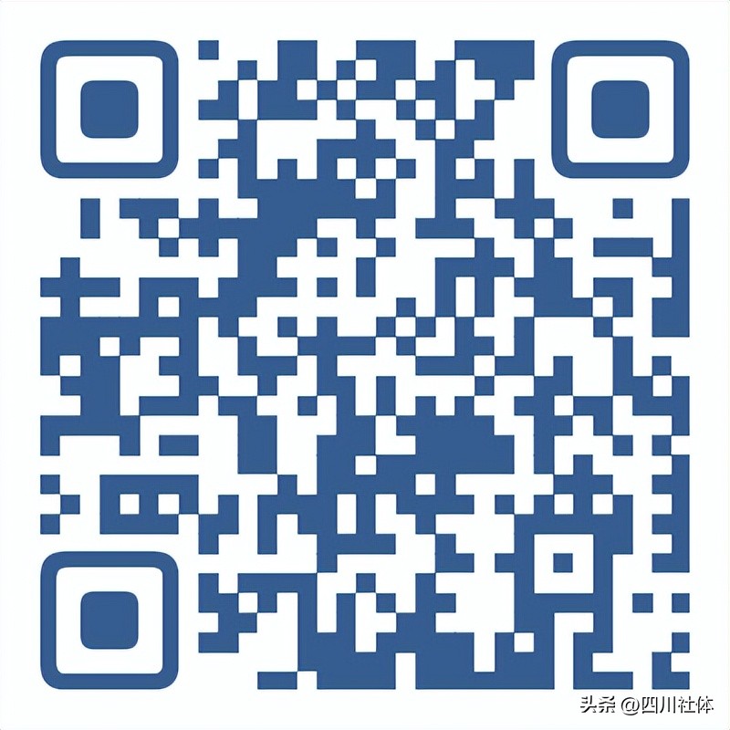 第三届川籍农民工运动会象棋比赛,第四届农民工运动会