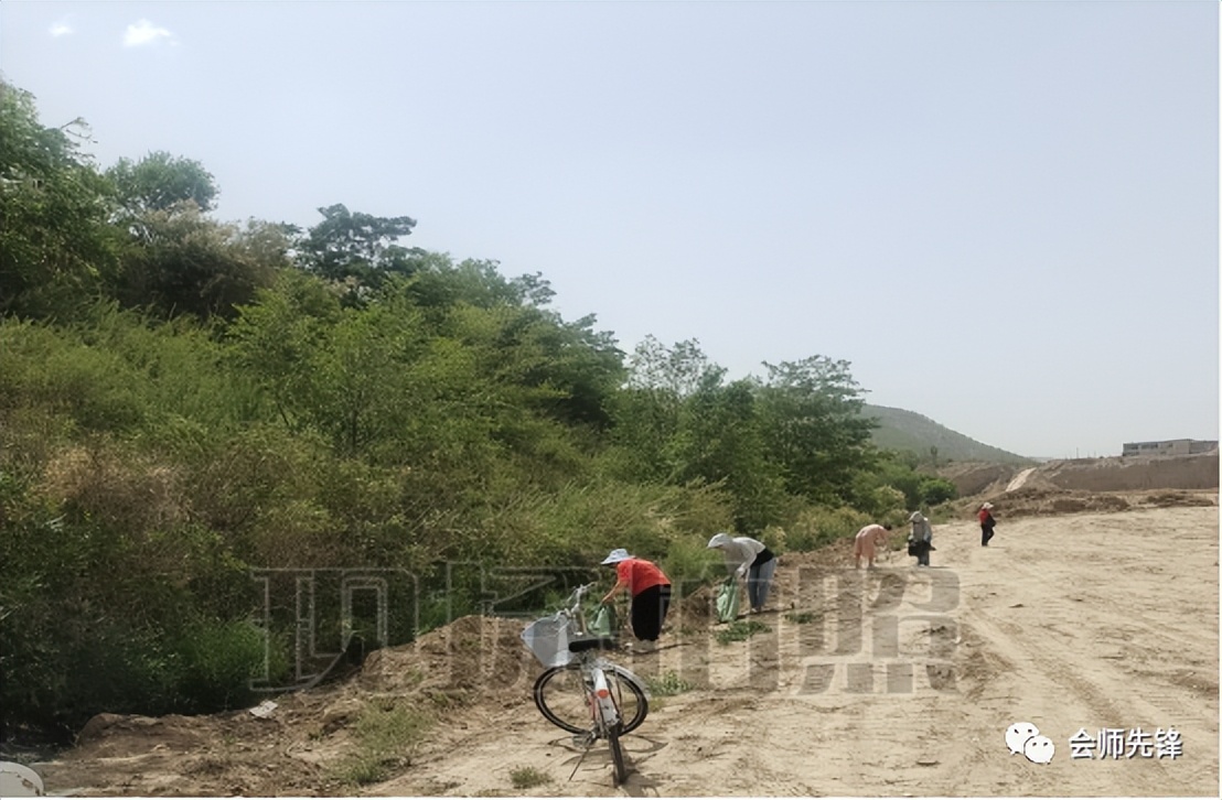 【学习“千万工程”经验】会师镇：扎实开展环境卫生整治提升工作