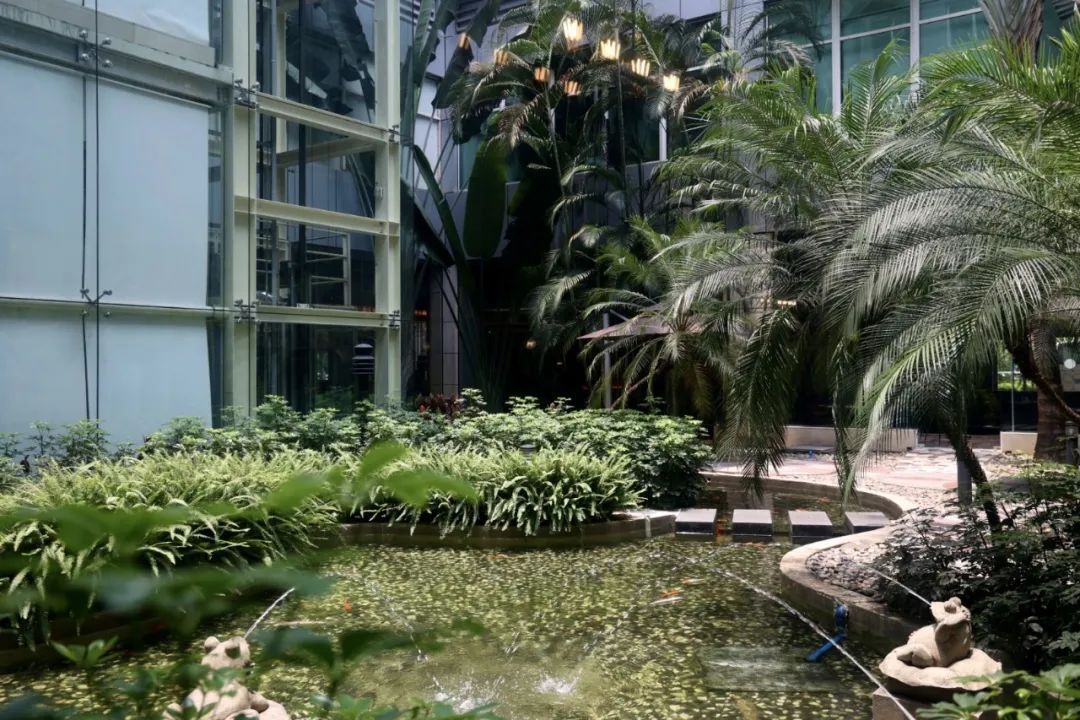 白云机场t1航站楼附近的酒店,广州白云机场附近住宿攻略