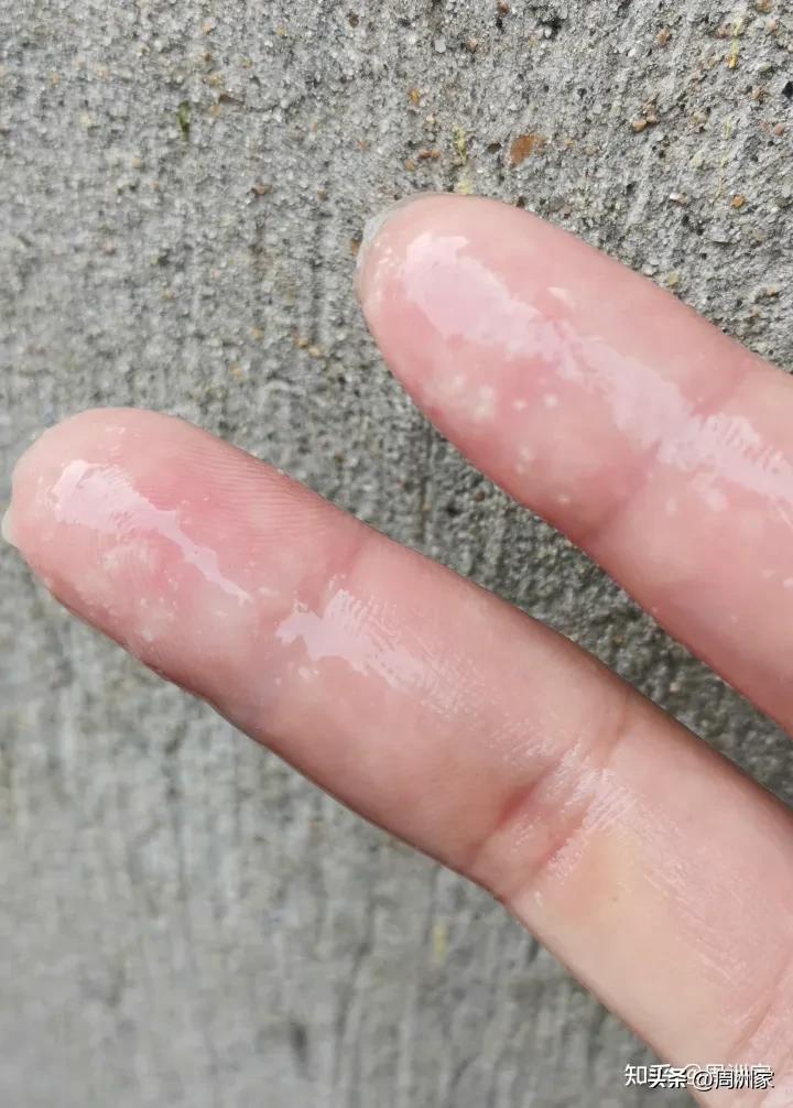 怎么鉴别好的蜂王浆真假,如何鉴别蜂王浆真伪好坏