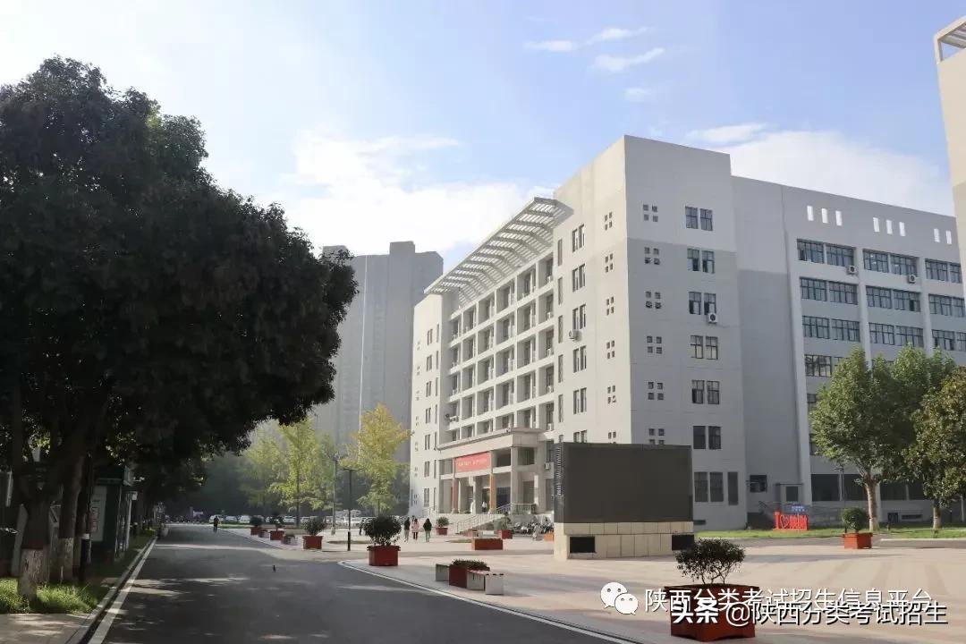 单招陕西财经职业技术学院,陕西财经职业技术学院单招条件