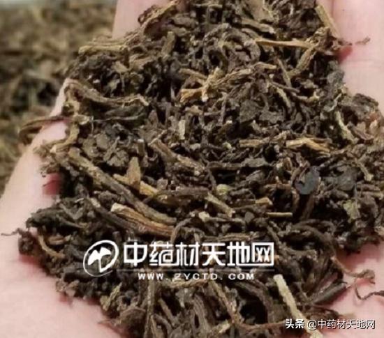 安国药市场分析,安国药行情分析