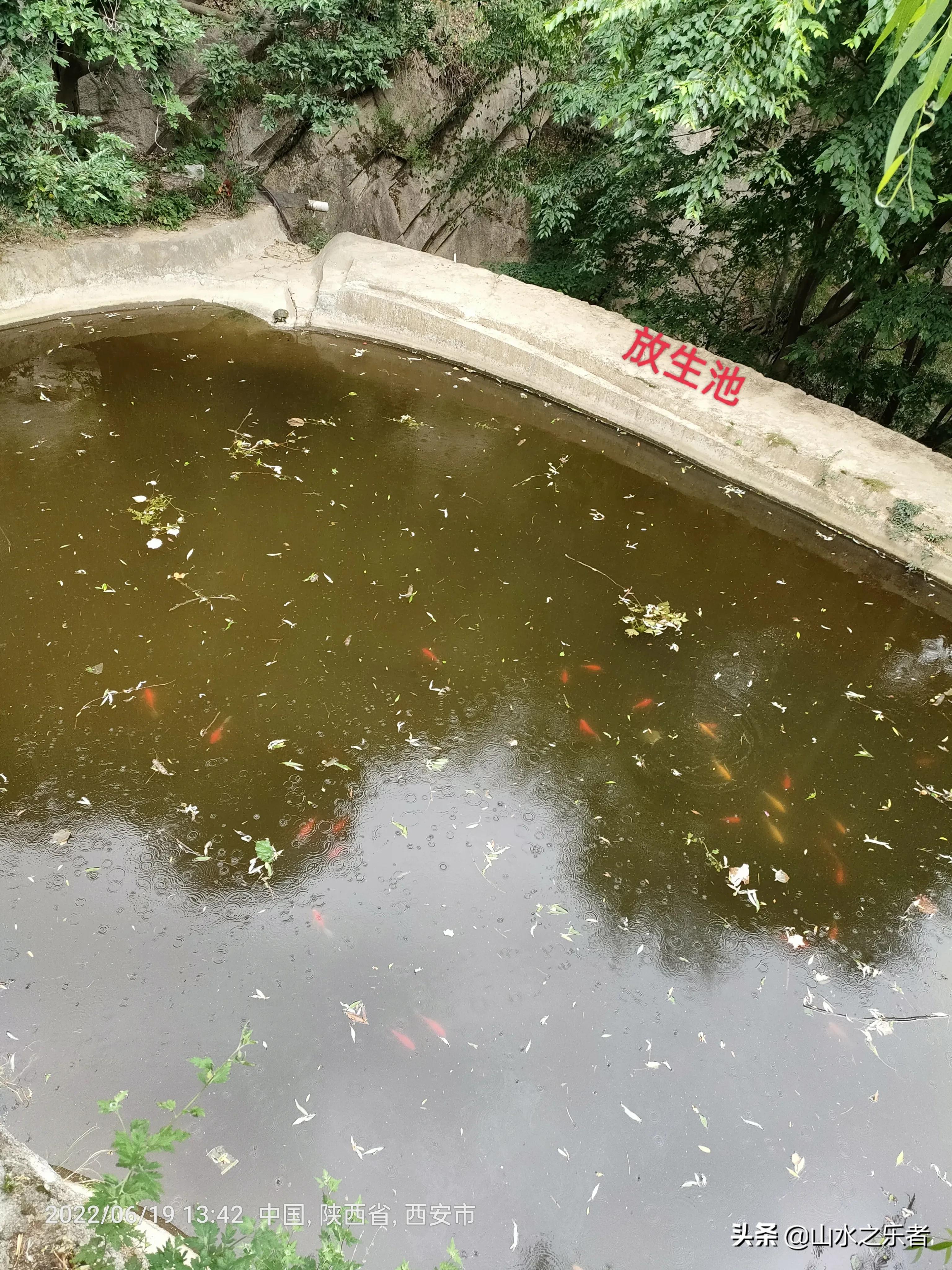 律宗祖庭净业寺纪录片,律宗祖庭净业寺玄都坛