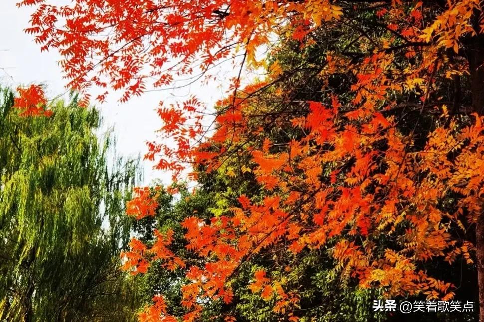 小小说：说的都不是真话