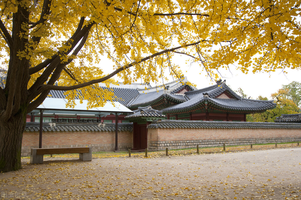 咽喉异物感吞咽困难胃镜检查正常,咽喉不适感越来越强烈怎么治