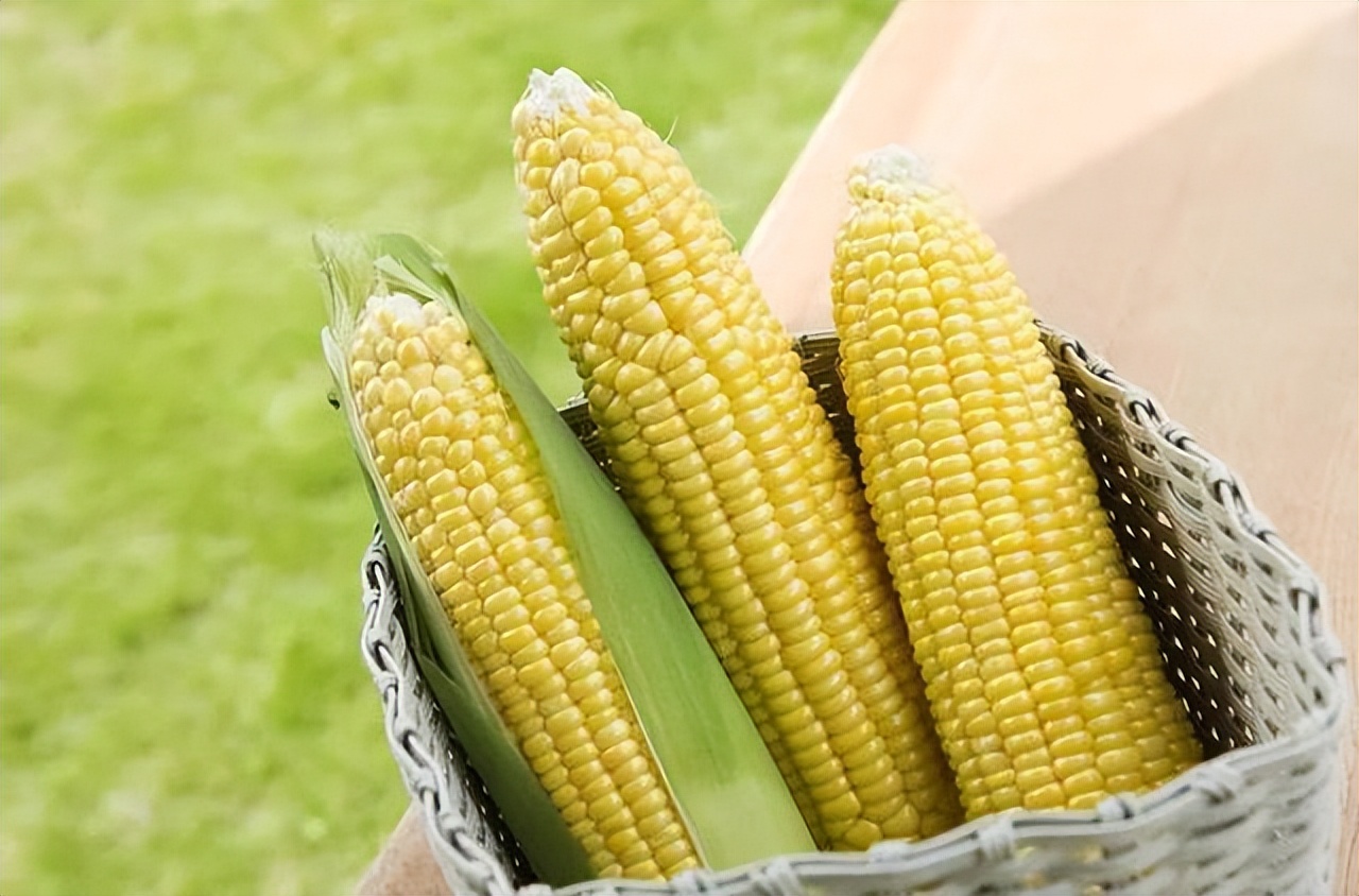 医生建议这4类人尽量少吃玉米,常吃玉米好处多但三类人尽量少碰