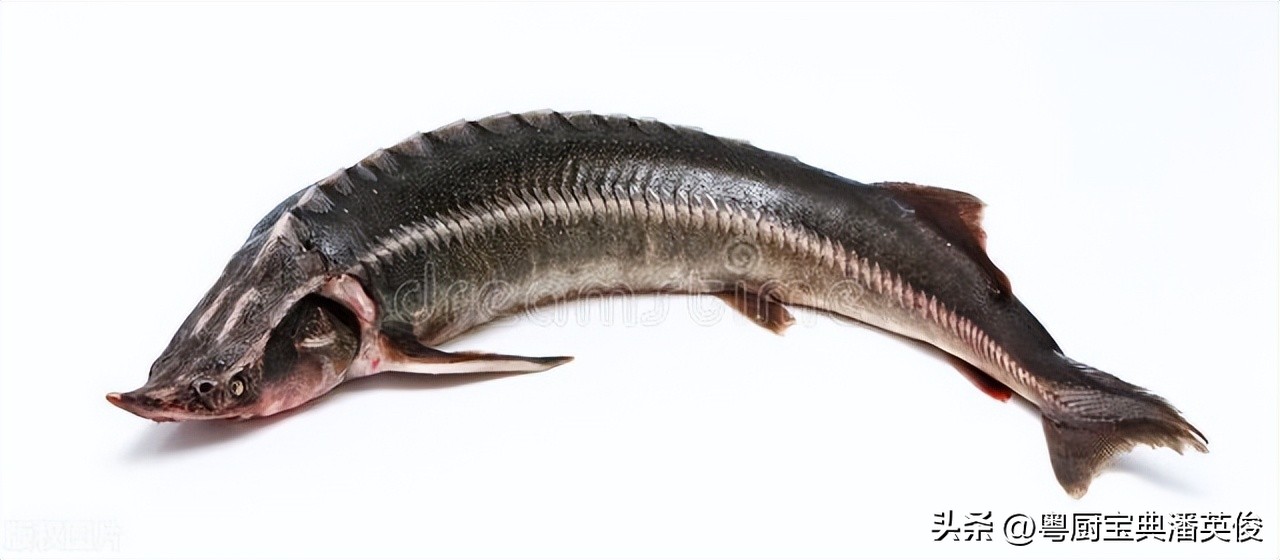 广东正宗粤菜菜谱书,粤菜100道经典粤菜教程