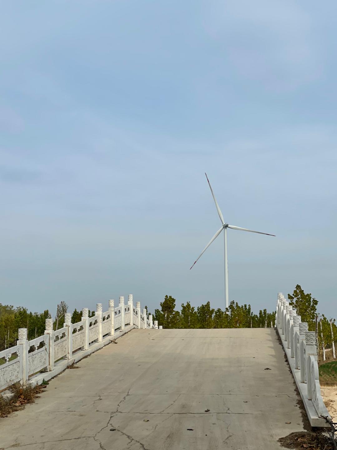 董董骑行山东,懂懂骑山东