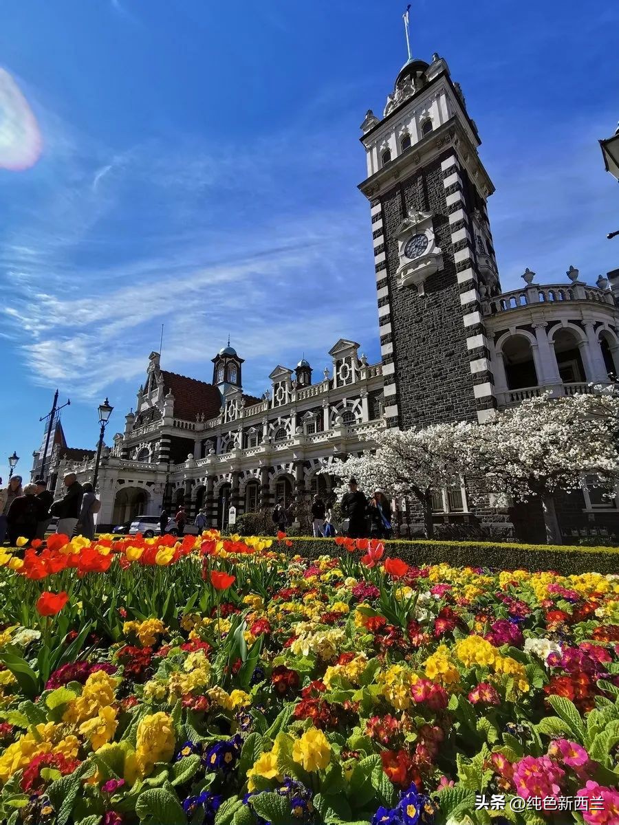 但尼丁火车站简介,新西兰但尼丁城市简介