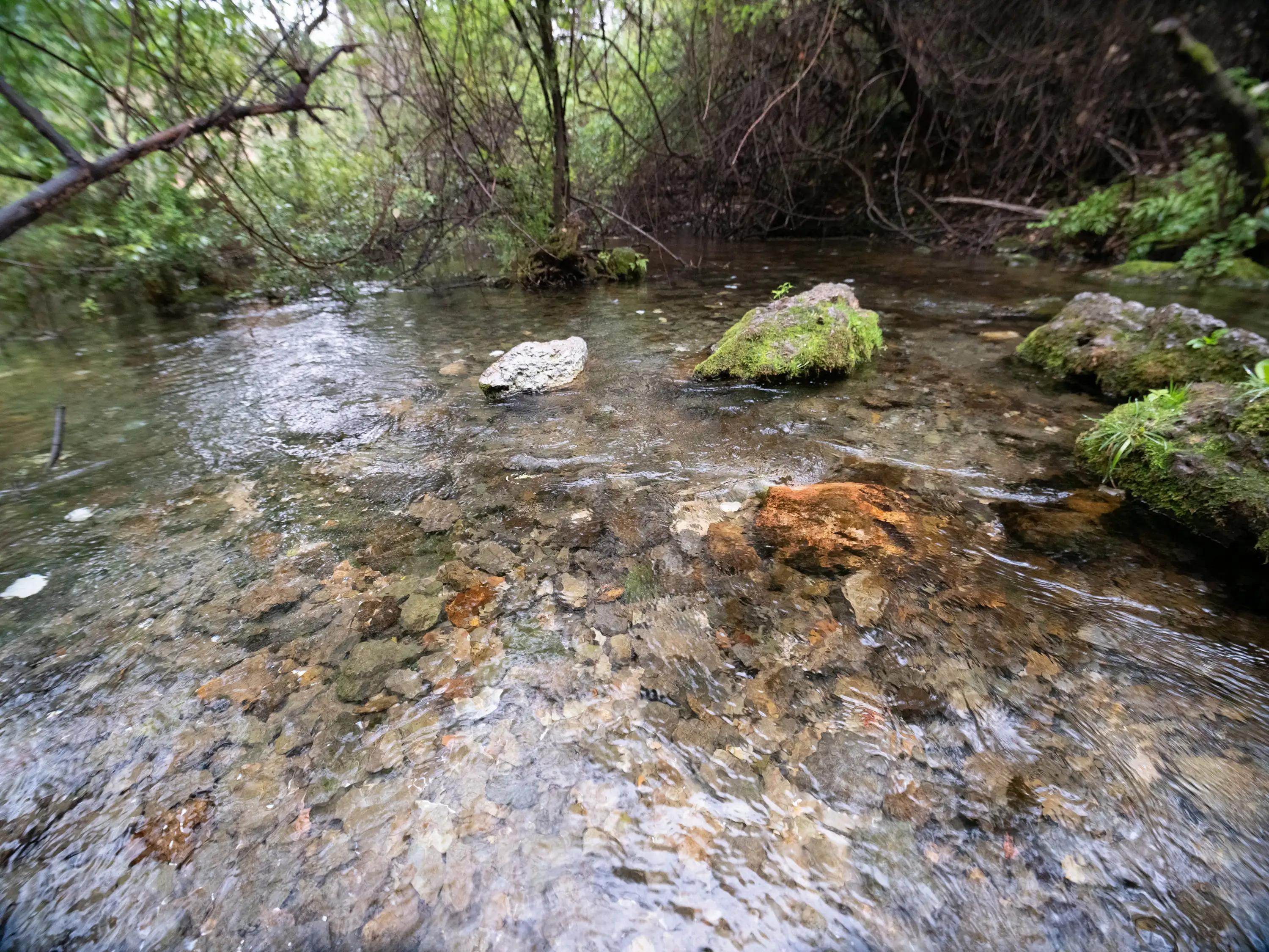 徐霞客游记里面经典景点,徐霞客大理游记