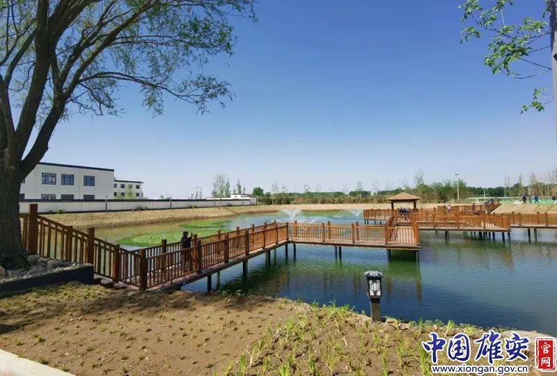 夏天雄安,雄安游览攻略