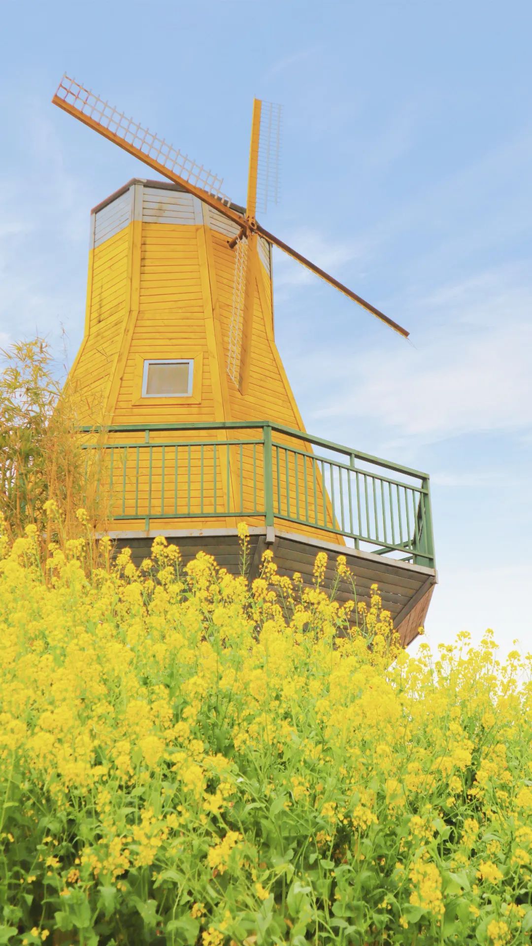 成都市区现实版桃花源记在哪里,成都公交可达的古镇