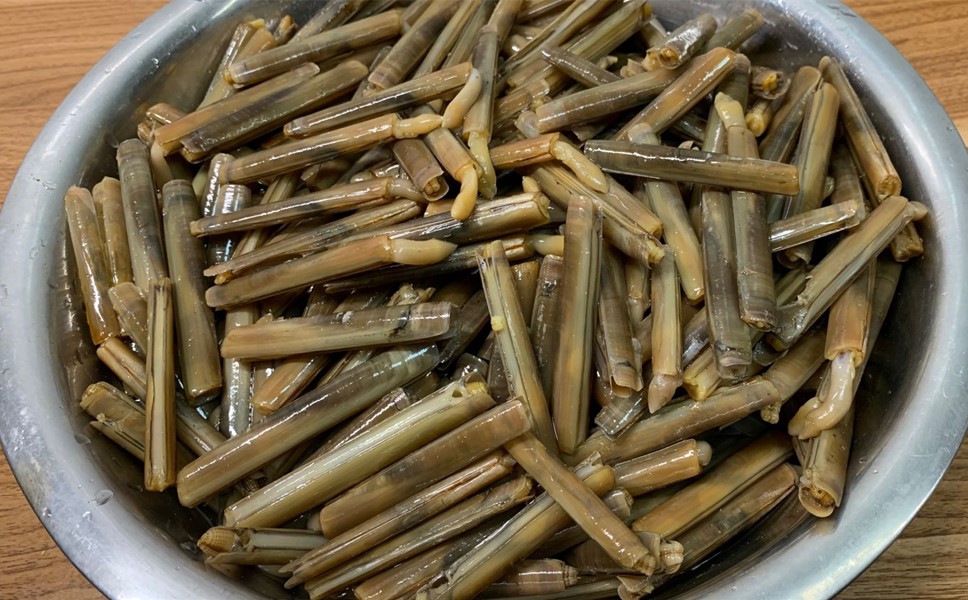 春天遇到此菜别手软一次多囤些,春天遇到此菜别手软