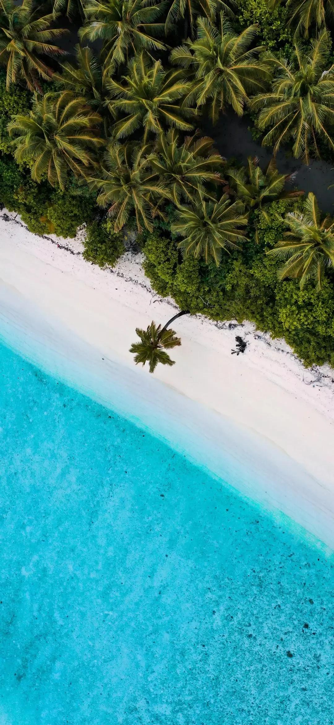 大海壁纸｜大海边，守候朝霞，聆听海浪的乐章