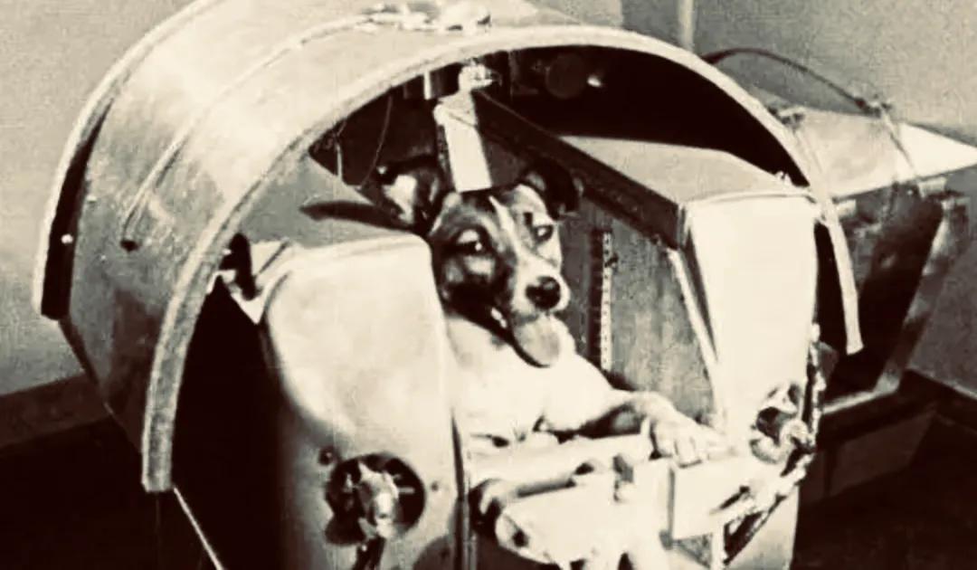 阿波罗登月真的吗,阿波罗登月是真的吗