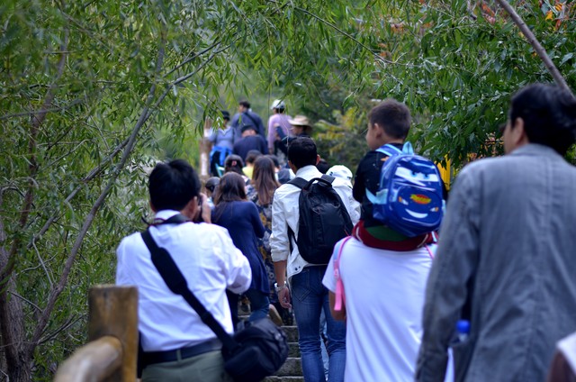 我们4年旅行花60万，没敢让儿子家知道，无意中说漏嘴被拒之门外