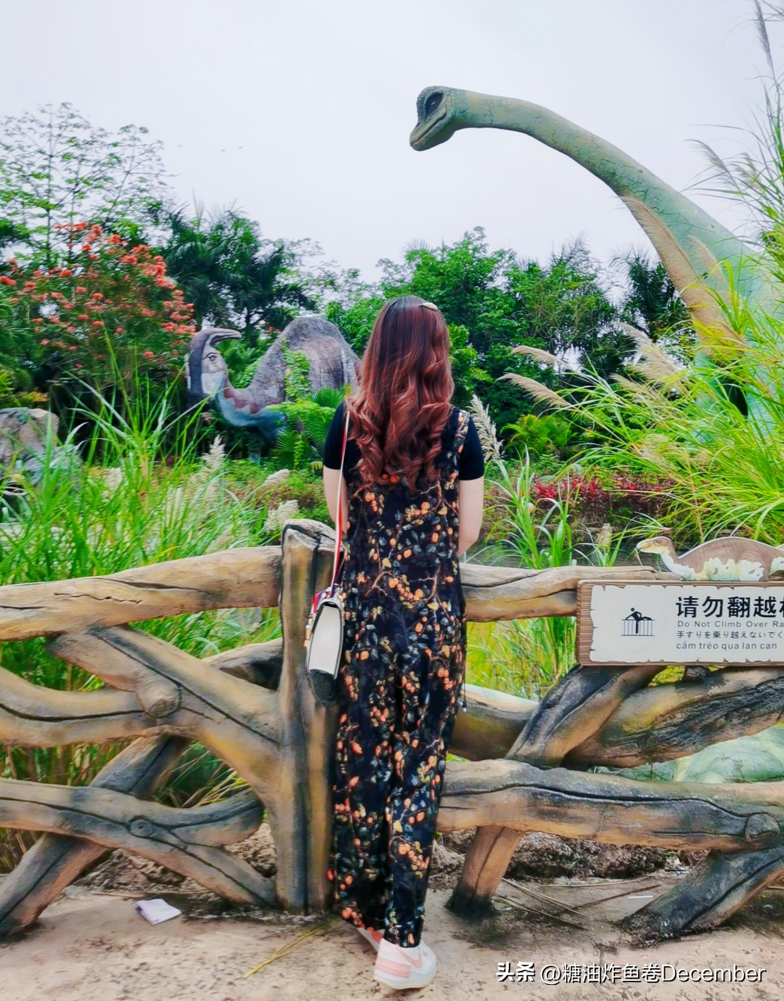 扶绥龙谷湾恐龙公园游玩攻略,扶绥龙谷湾恐龙公园在哪里