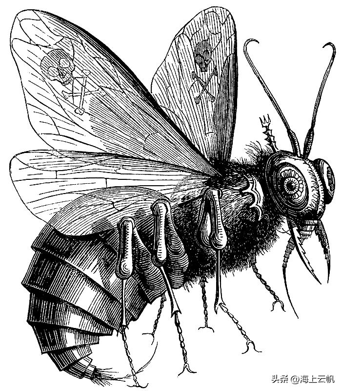 圣斗士圣战讲解,圣斗士圣斗士绝招名称