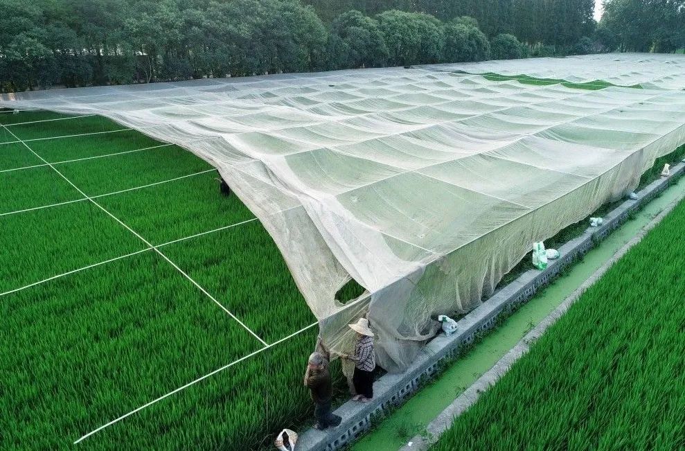 泰州姜堰出发自驾1日游好去处攻略推荐