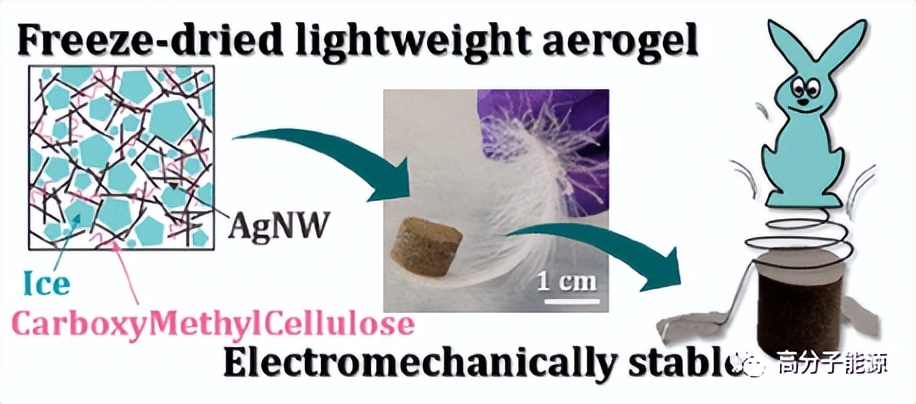 acsnano图解,acsnano需要提供原始数据吗