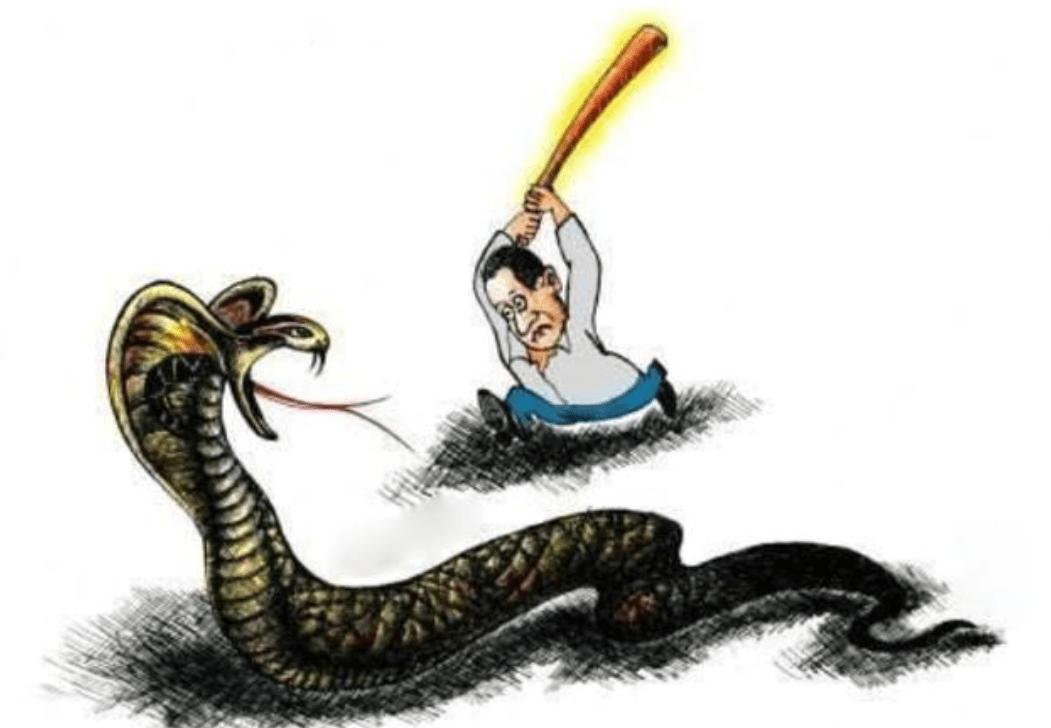 巨蟒吞下的是什么,被巨蟒咬上一口是什么感觉