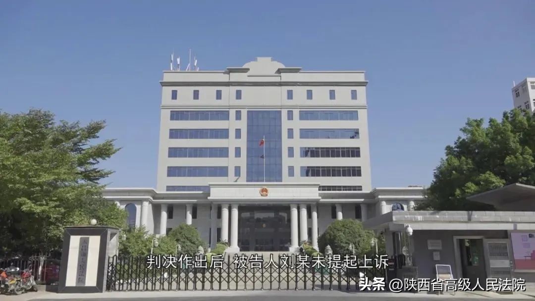 免费领取礼品发现被骗怎么办,免费领东西老人上当受骗视频