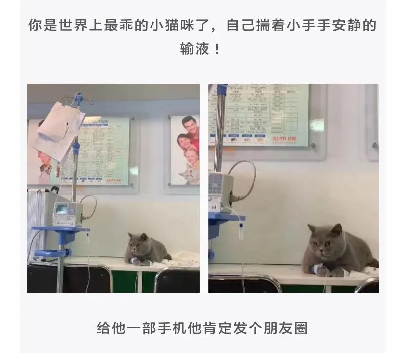 为什么吃了布洛芬更疼了,布洛芬是怎么知道我们身体哪里疼