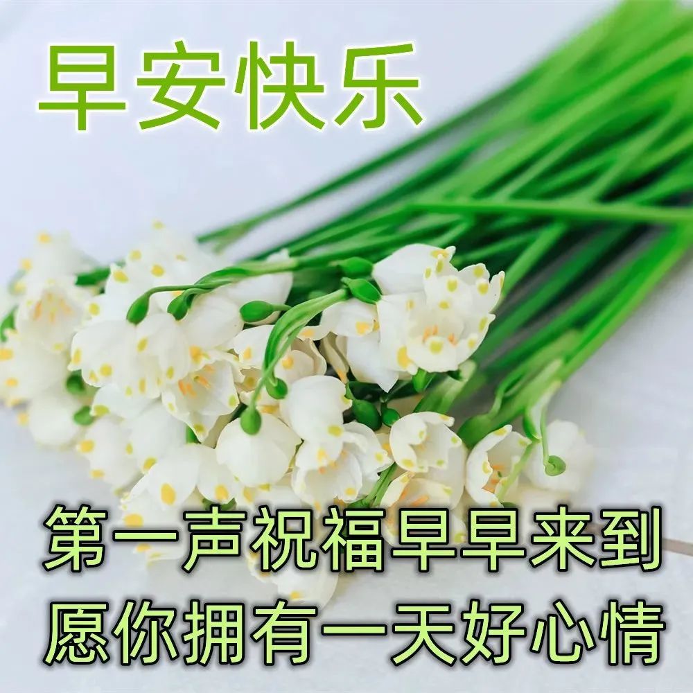 经典动人的早安心语语录汇编76条,早安心语带字正能量简短的句子