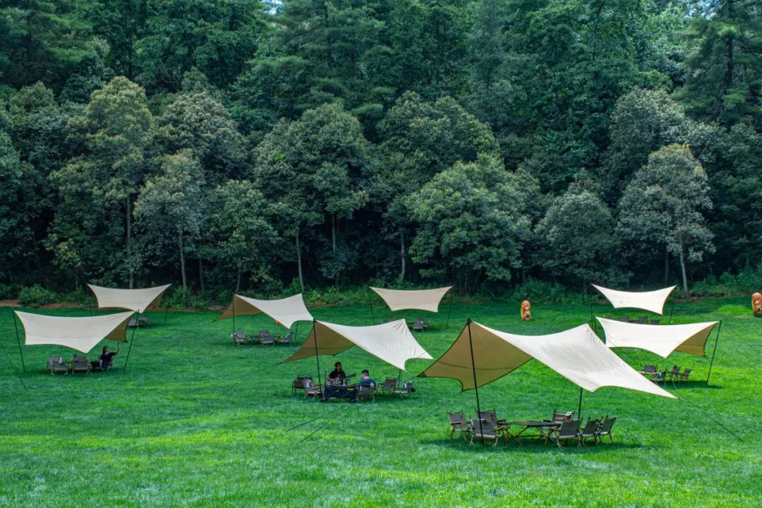 昆明周边旅游的好去处,常见的昆明周边度假攻略