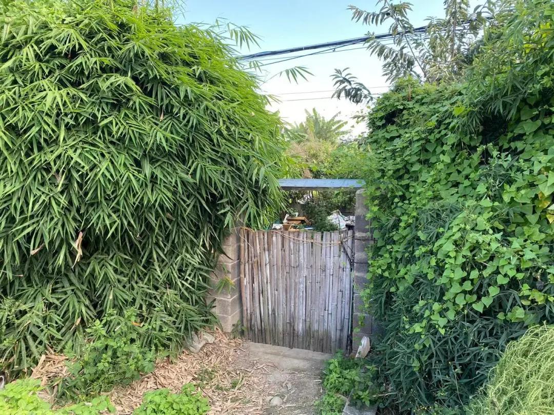 大理幼儿园环境,大理县城幼儿园