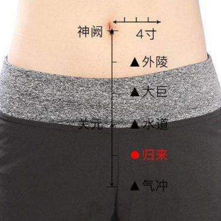 养内膜，让生命的土壤更肥沃！