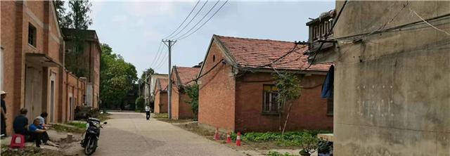 艺术鉴赏网：水利“老二团”的难忘岁月（图文）