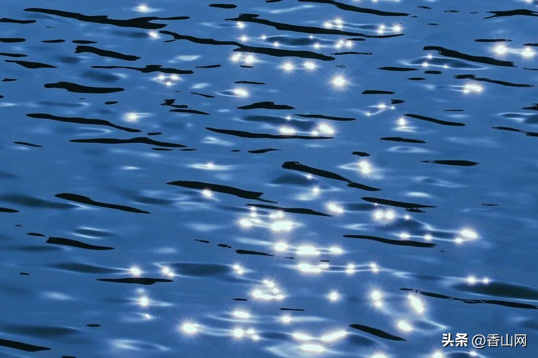 珠海学校排名前十名,珠海好一点的学校