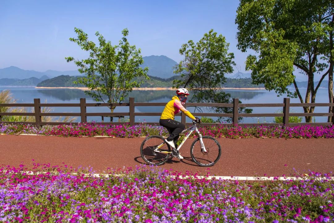 春暖花开时正是游湖赏花季,千岛湖四月赏花季节