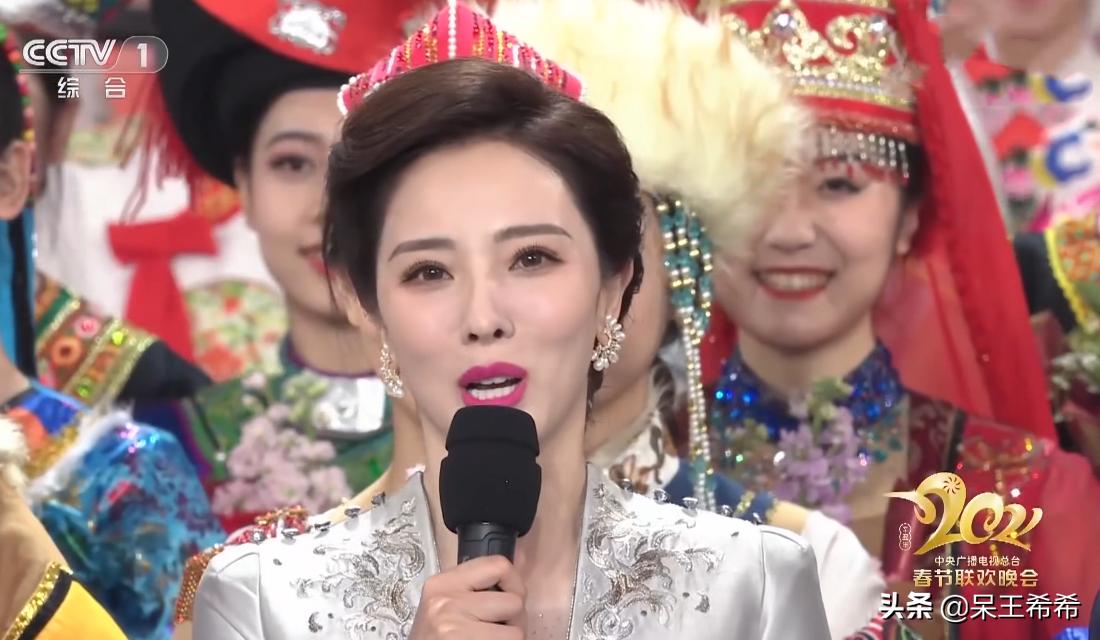 央视春晚主持人鲁豫简介,央视春晚开场任鲁豫