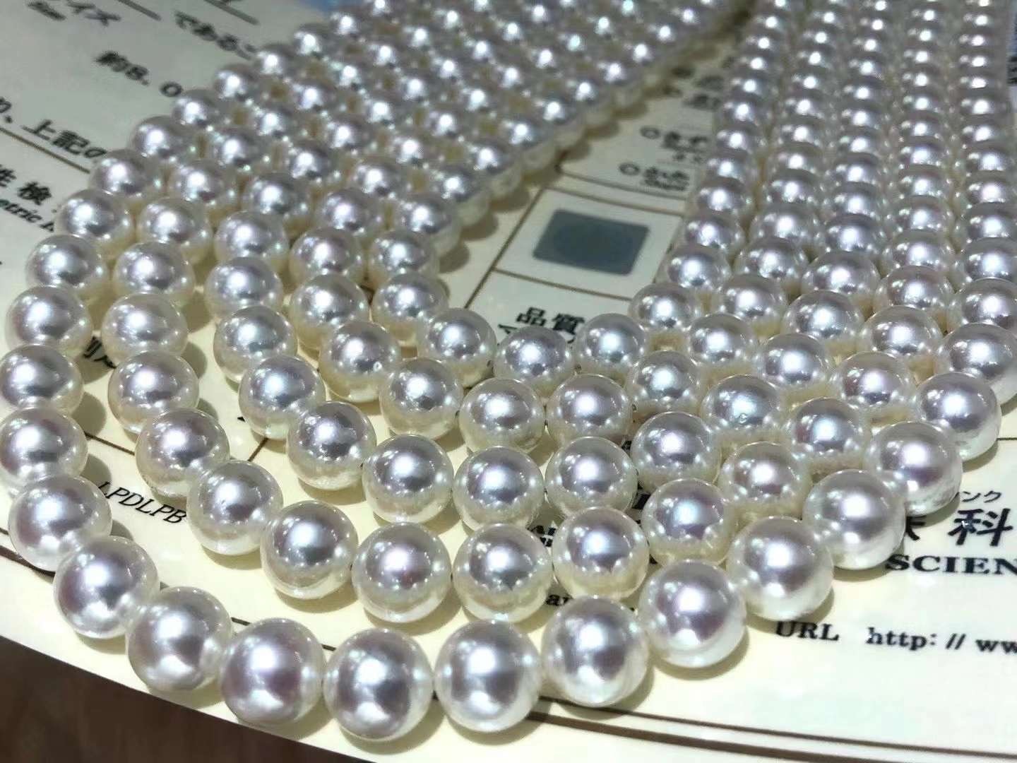 日本海水珍珠akoya什么颜色最好,akoya的海水珍珠和天女珍珠的区别