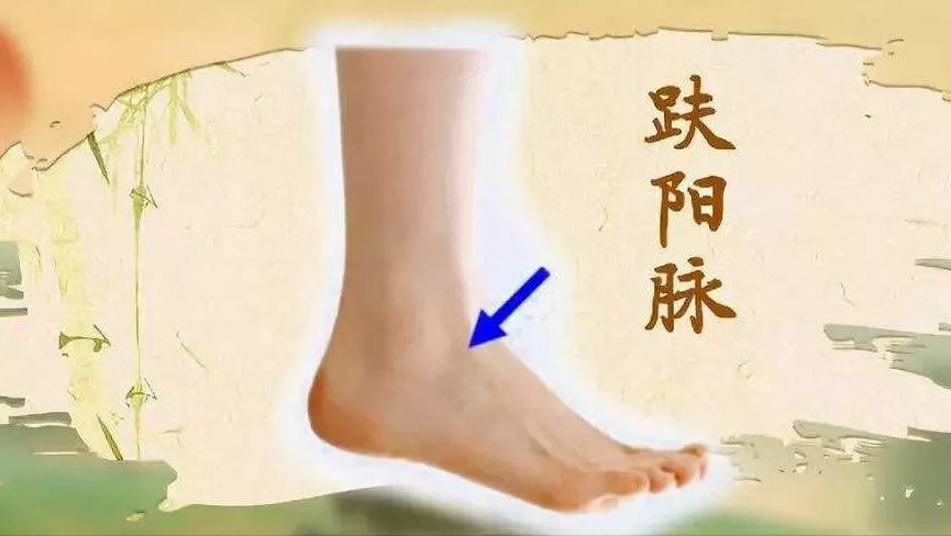 怎样能看出脚的血管硬化,脚上血管突出青筋暴起看什么科