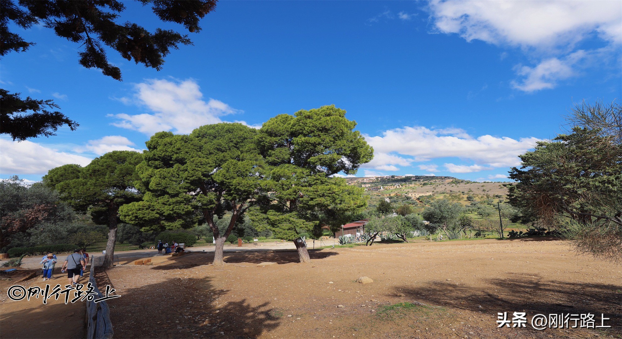 中国的世界文化遗产雅典娜神庙,世界文化遗产有哪些景点