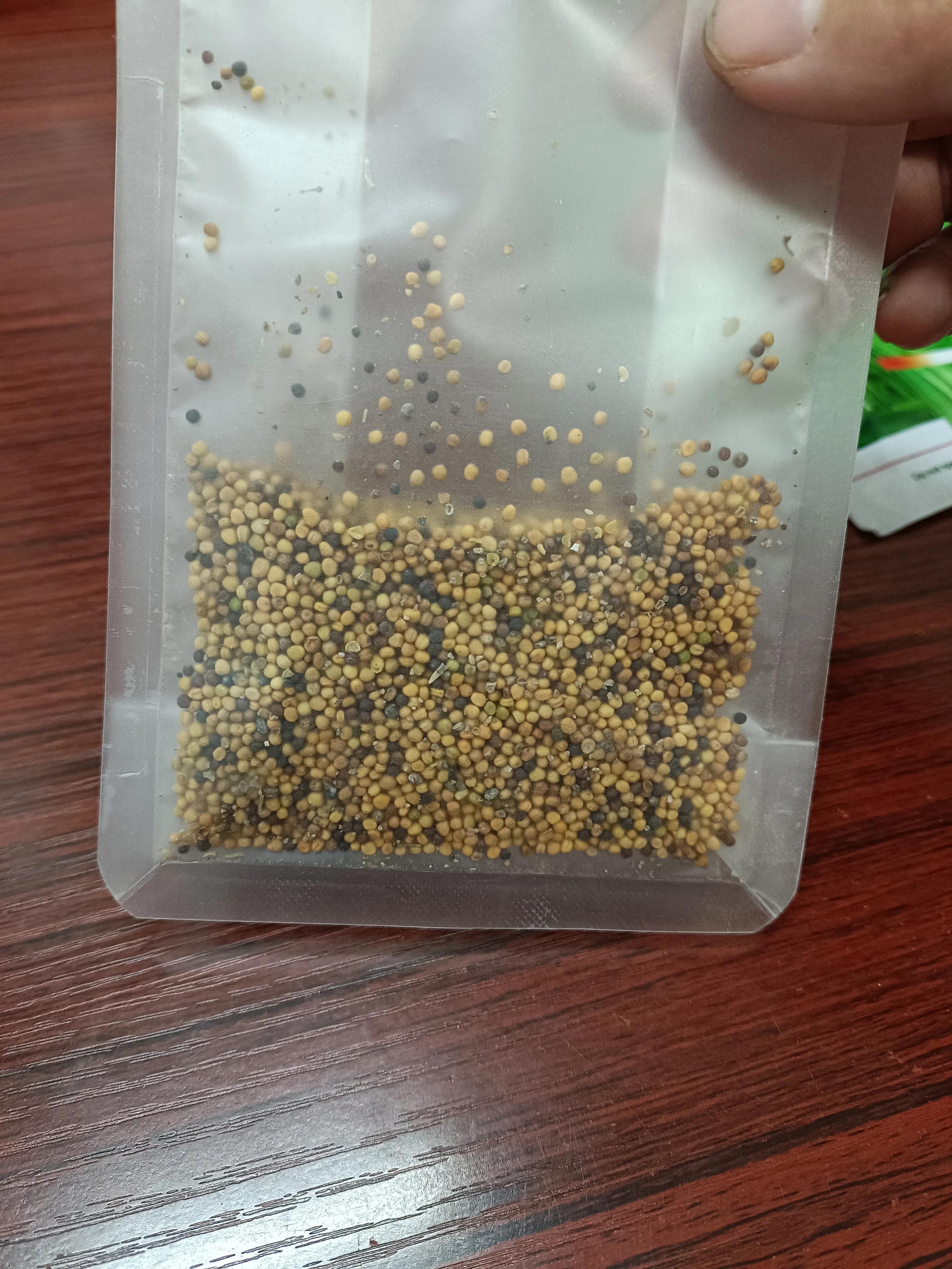 菜地菜种子怎么种,买的蔬菜种子第二年如何留种