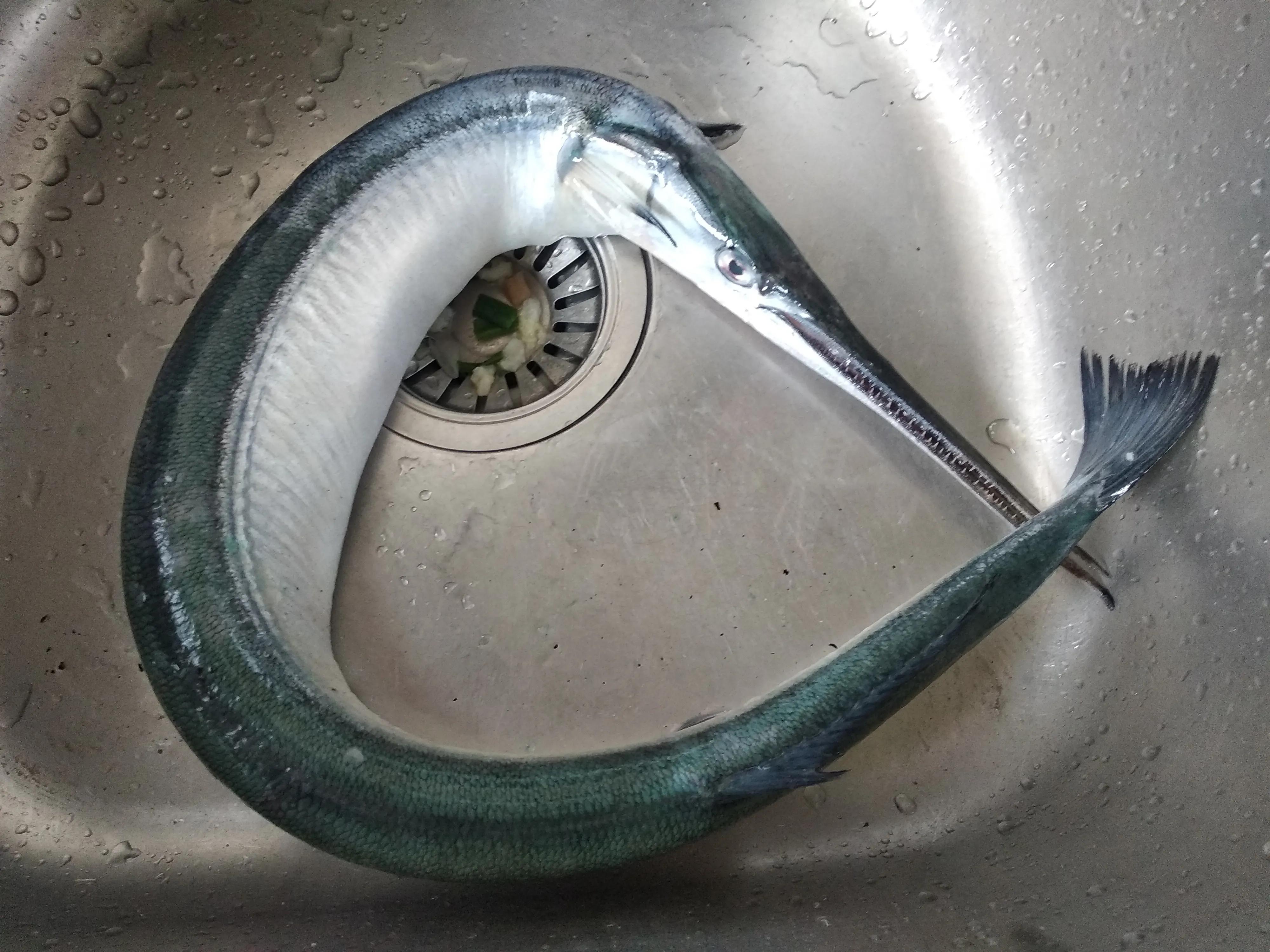 休渔期到来但这些海鲜仍可以选择,休渔期什么海鲜最好卖