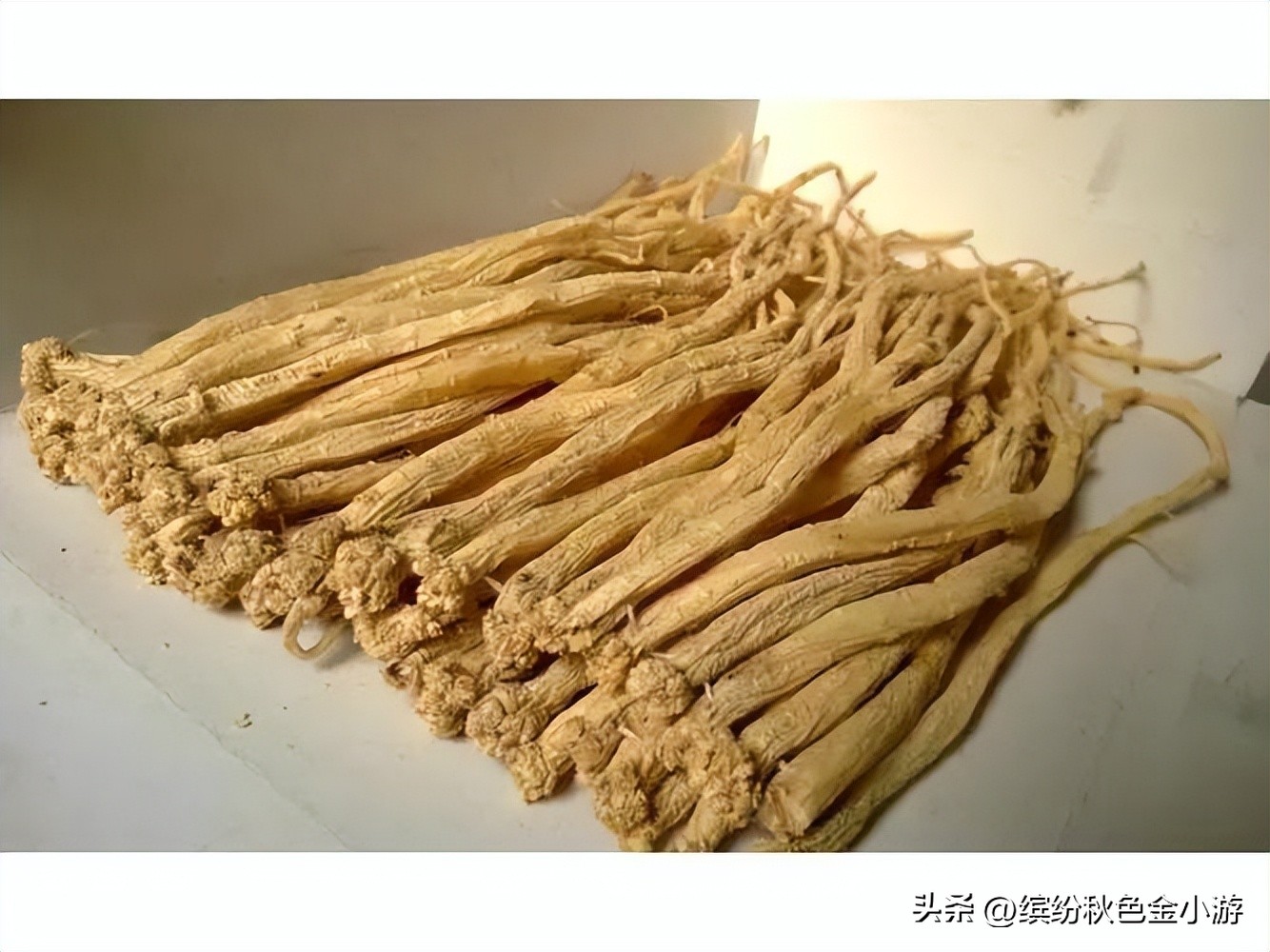 山西长治特产什么最好,长治特产好吃的