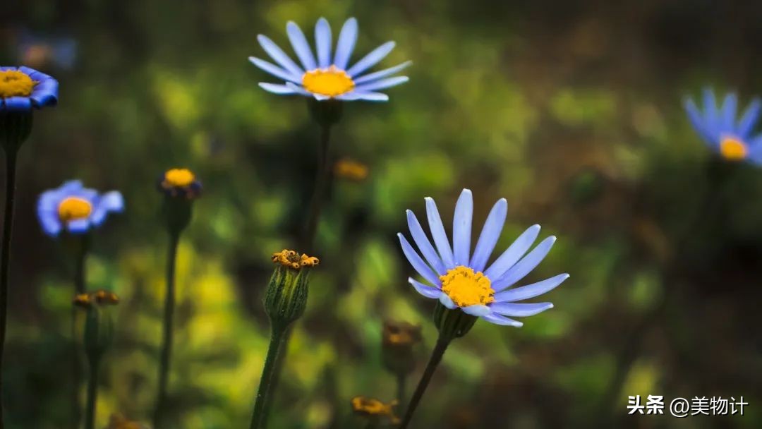 值得深交的一定是善良真诚的人,相处靠真心深交靠真诚