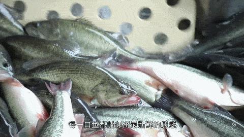 远洋液氮速冻技术,液氮速冻技术视频教程