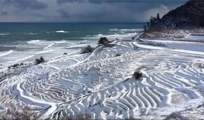 日本的冬天美景,日本的雪景真的太美了