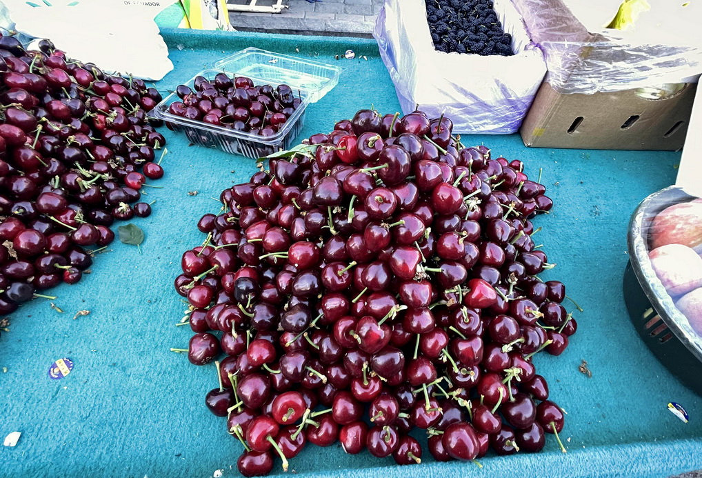 带大家看看东北早市物价多便宜,看东北早市物价冬天囤菜