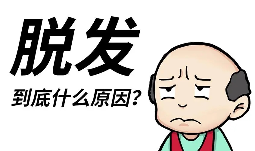 头发一抓就掉一把怎么回事,头发抓一把就掉一把