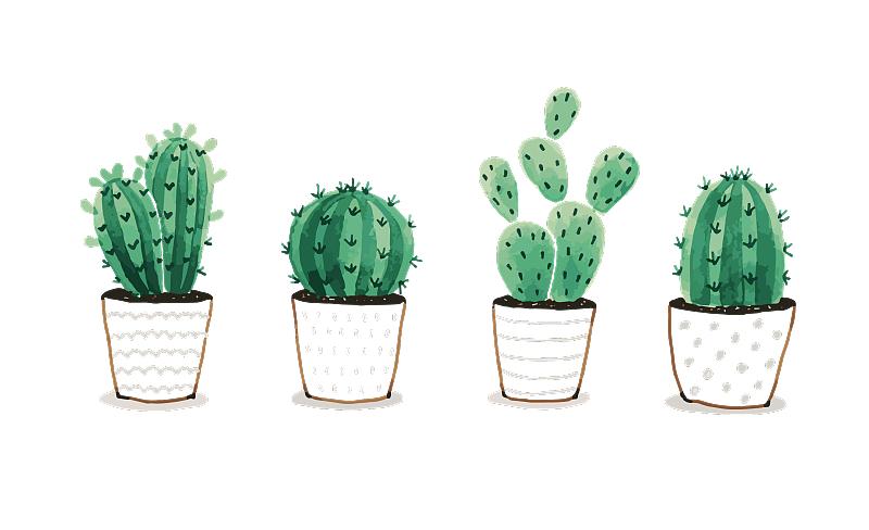 在留言区里,我看到了温暖的100种模样