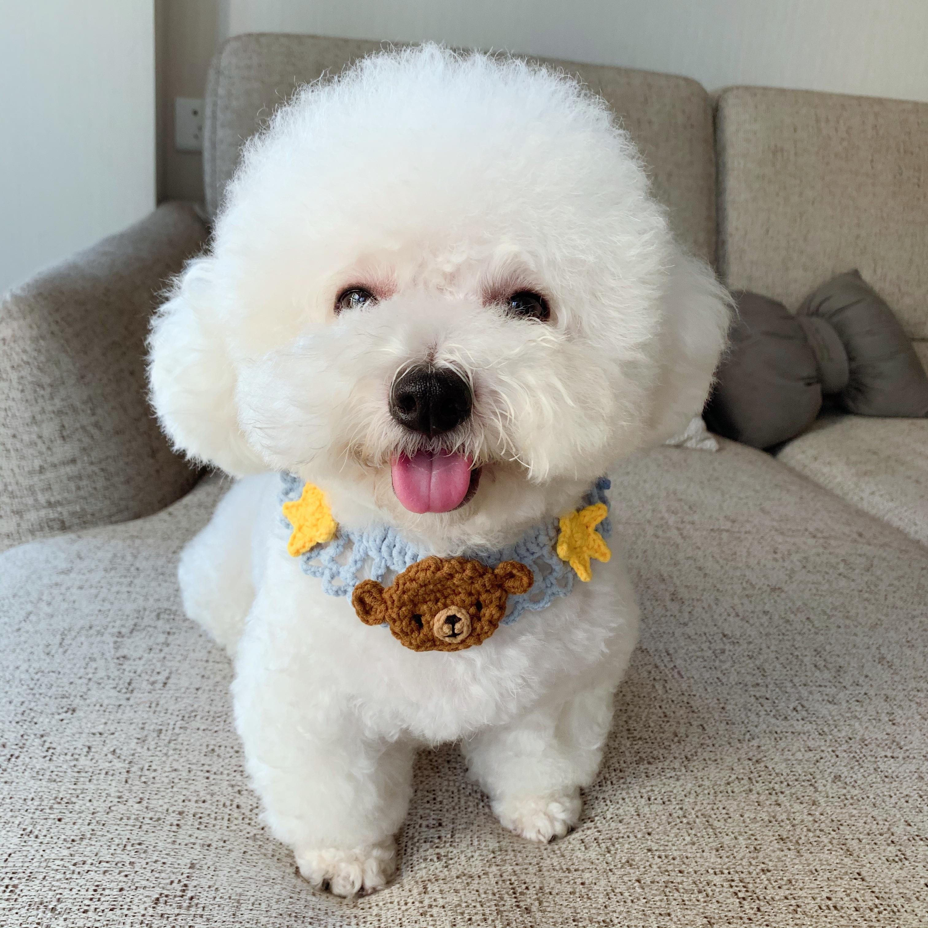 买什么狗最好养又便宜,养狗首选这3种狗既便宜又好养